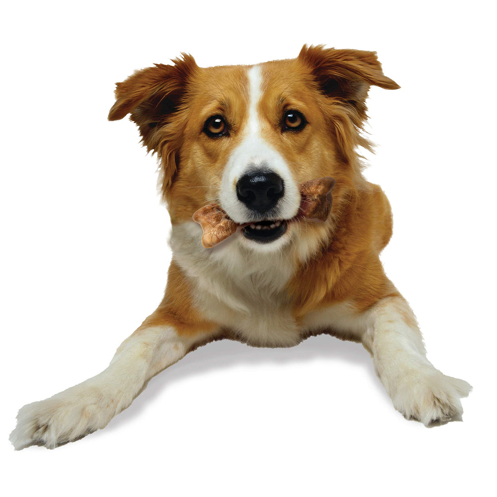 Ideal para perros de hasta 35 libras que disfrutan masticar.