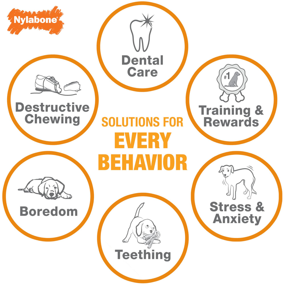 Nylabone Hecho en EE UU garantiza calidad y seguridad para perros pequeños.
