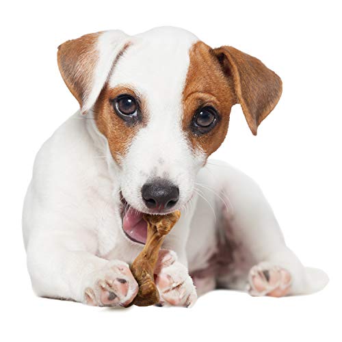 Nylabone hueso caldo jamón, digestible y adecuado para masticadores moderados.