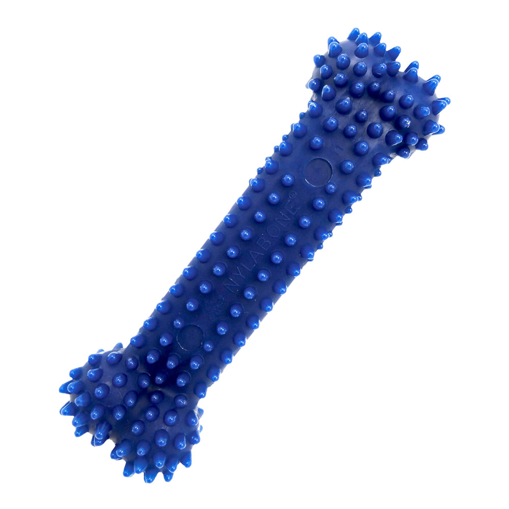 Nylabone frente del hueso dental texturizado para masticación moderada.