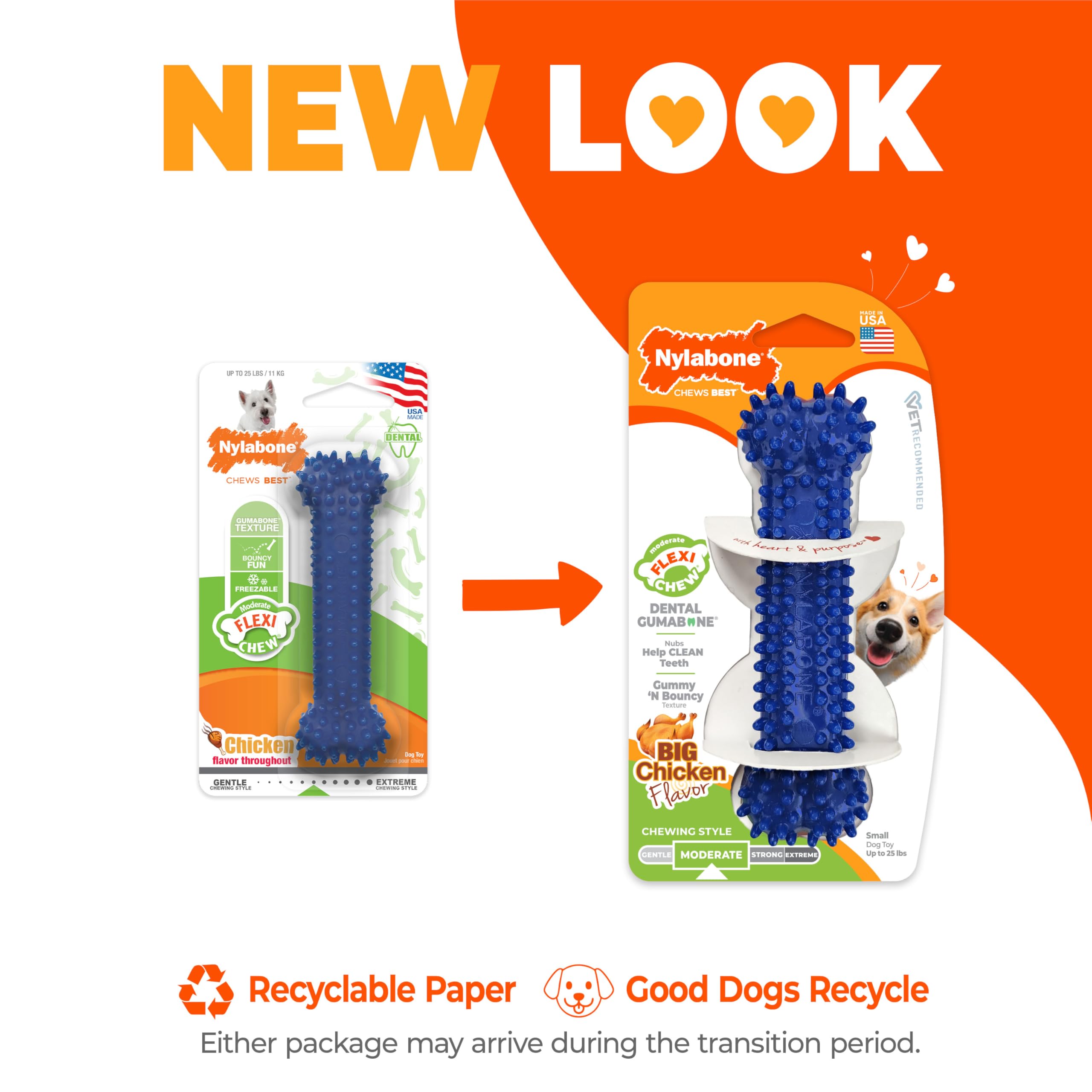 Nylabone juguete dental para juego diario y estimulante.