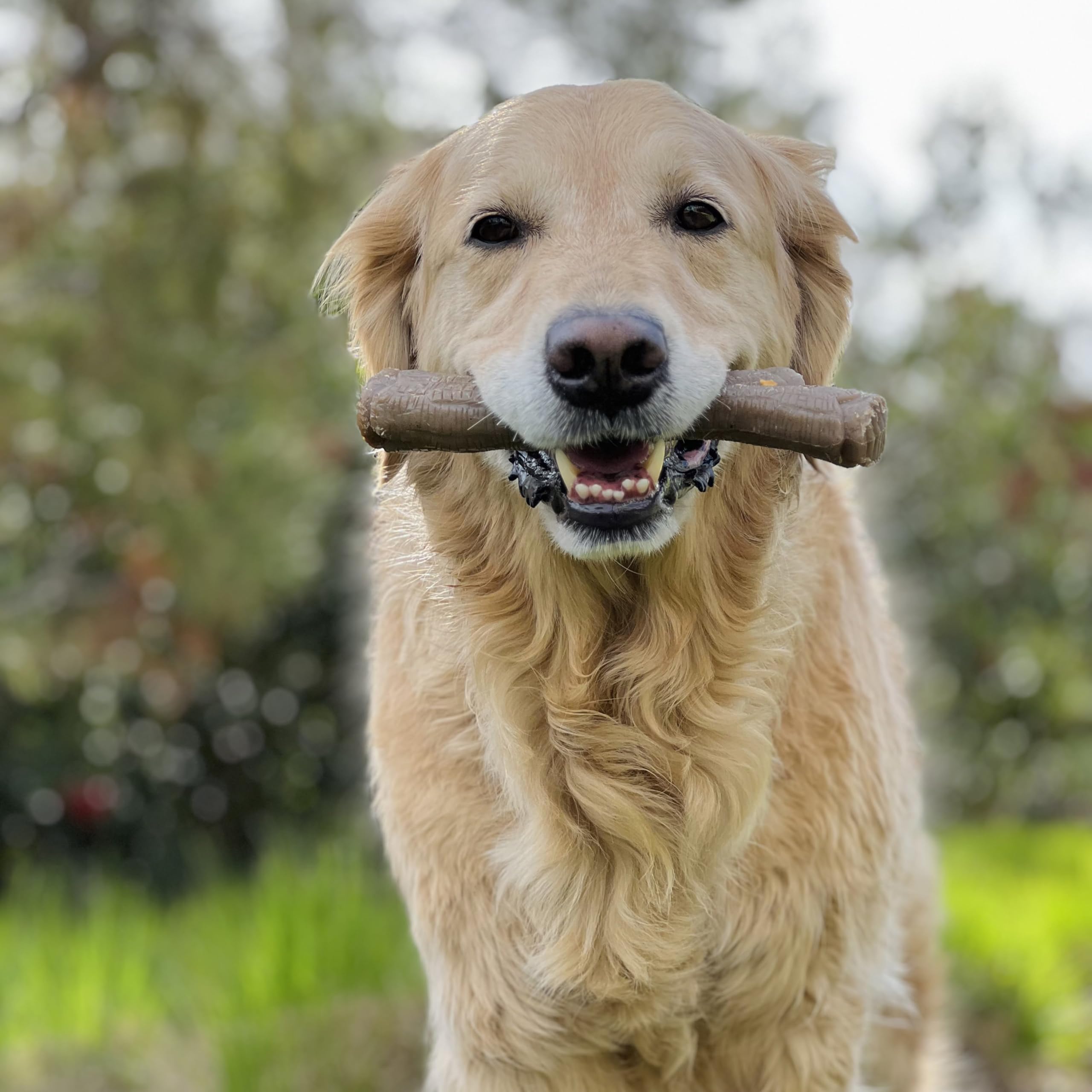 Nylabone juguete de masticación dura para perros grandes y fuertes