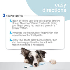 Nylabone Kit Cuidado Oral para perro, conjunto completo para higiene diaria