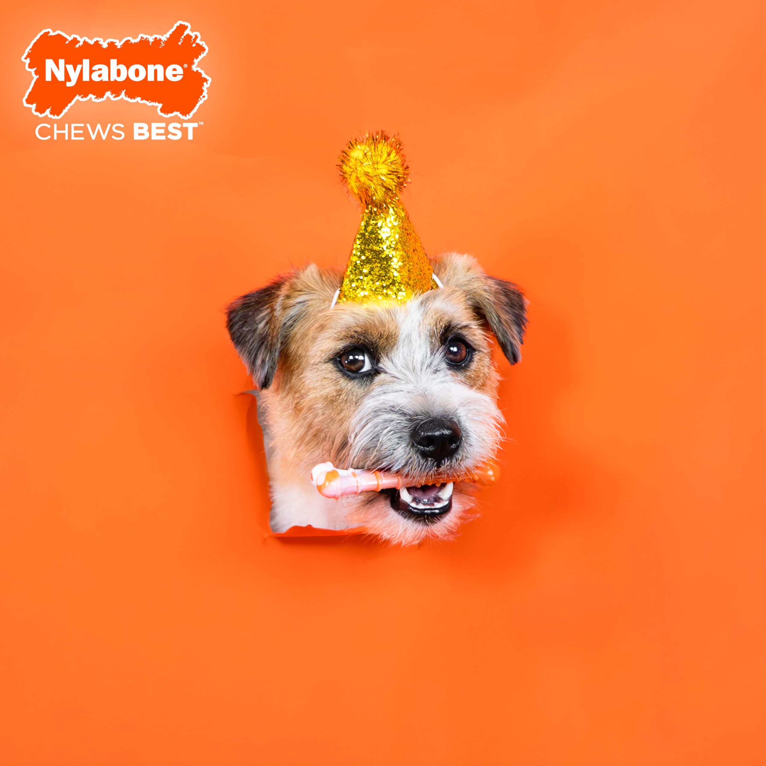 Nylabone masticable extremo, muestra una mordida intensa para perros.