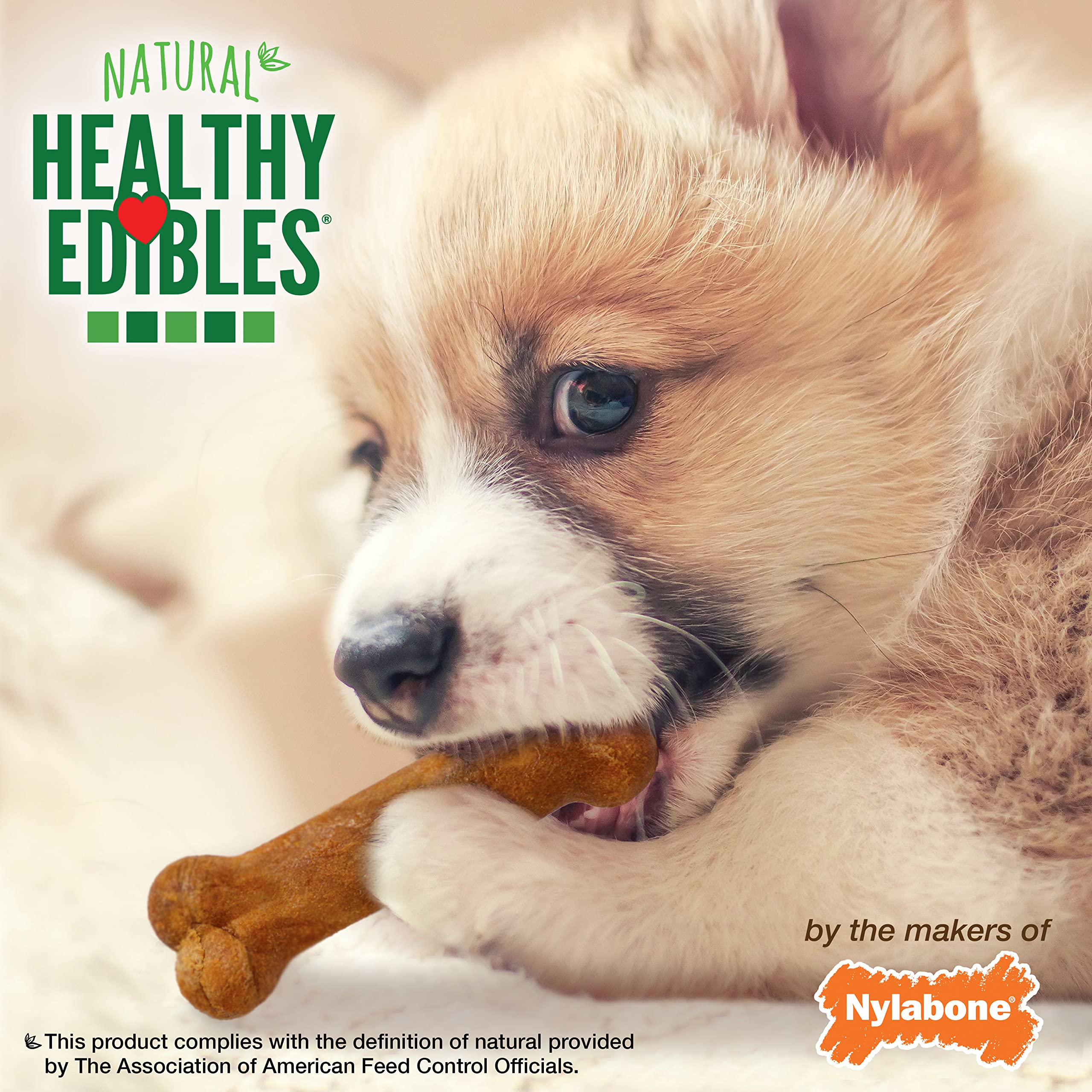 Nylabone con calcio y DHA para desarrollo.
