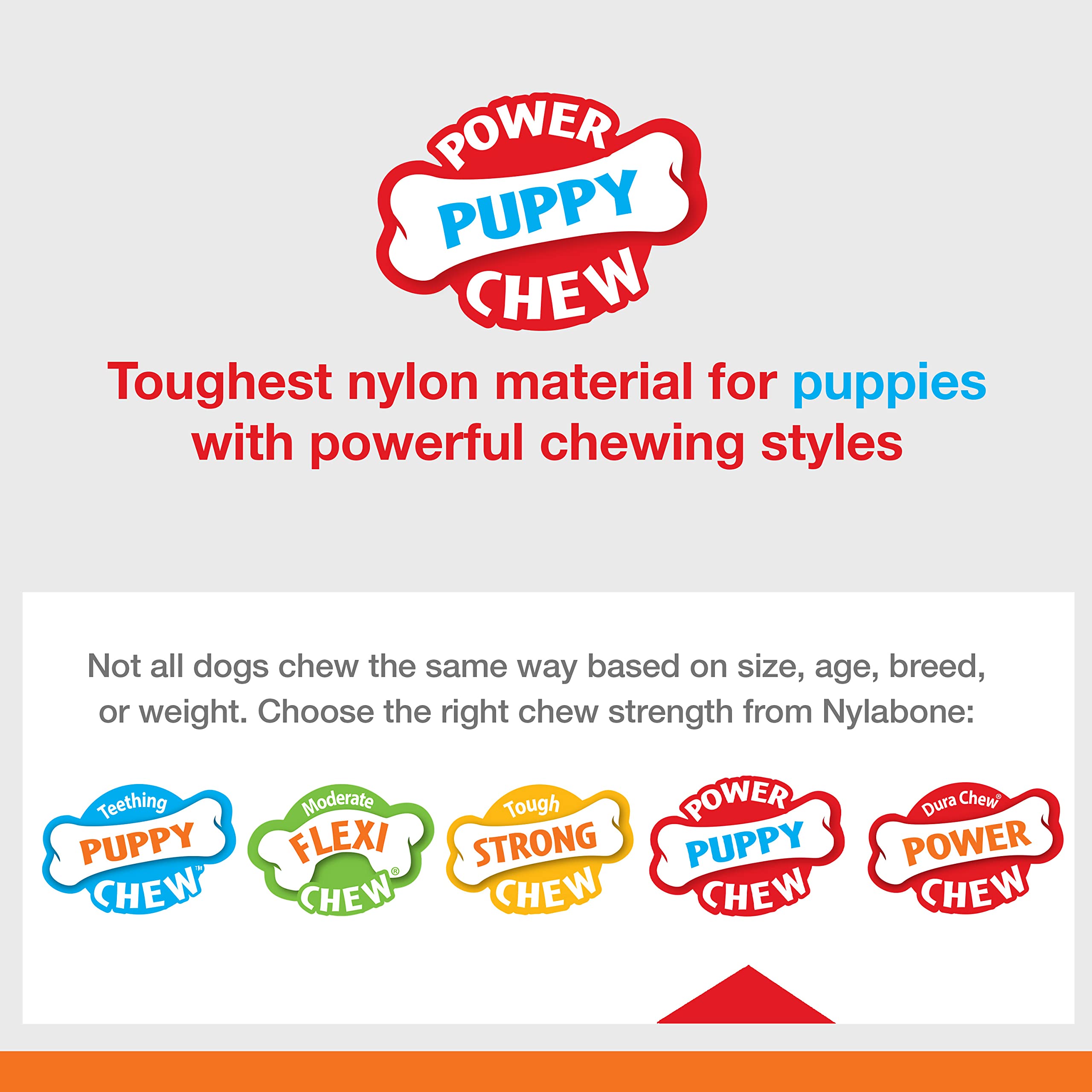 Nylabone Masticación para Dientes de Cachorro: ayuda a mantener sesiones de juego largas.