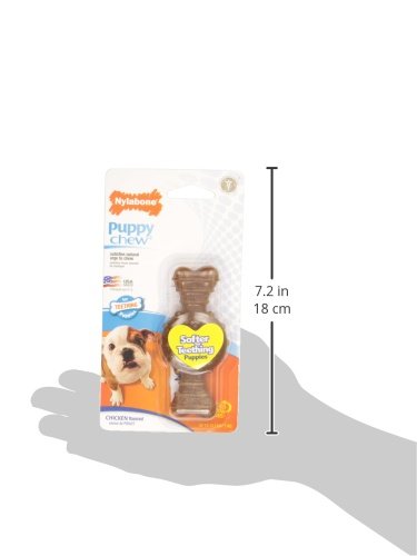 Nylabone mordedor-congelar para cachorros: alivia las encías