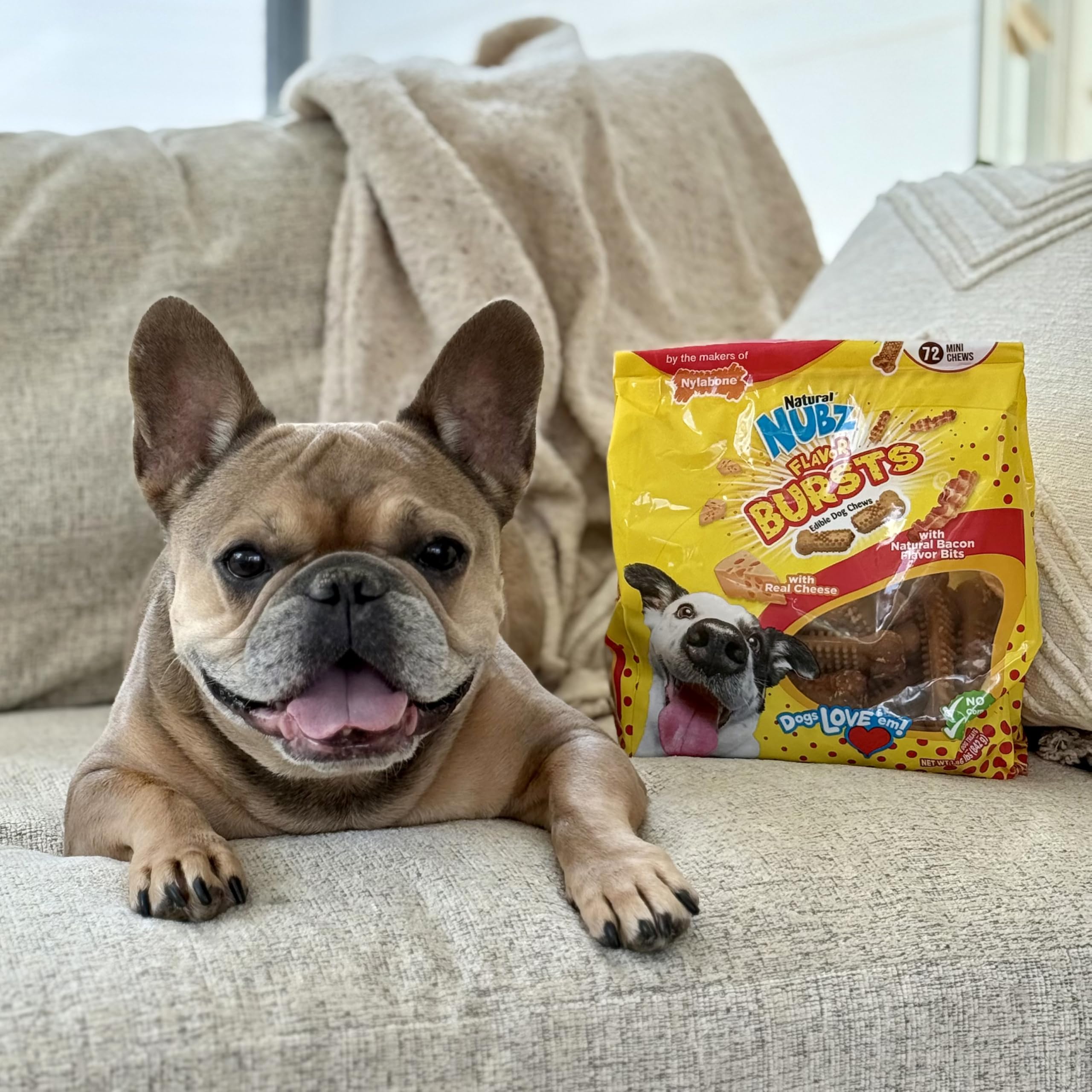 Nylabone Nubz hecho en Estados Unidos para perros pequeños.