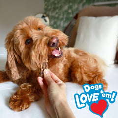 Nylabone Nubz fabricado en EE UU, calidad que perdura durante la masticación.