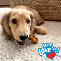 Nylabone Nubz premio de adiestramiento para cachorros, fomenta masticación controlada.
