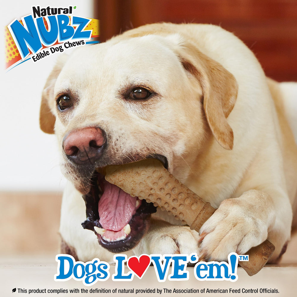 Nylabone Nubz Wild, 7.75 pulgadas de longitud, formato de hueso masticable