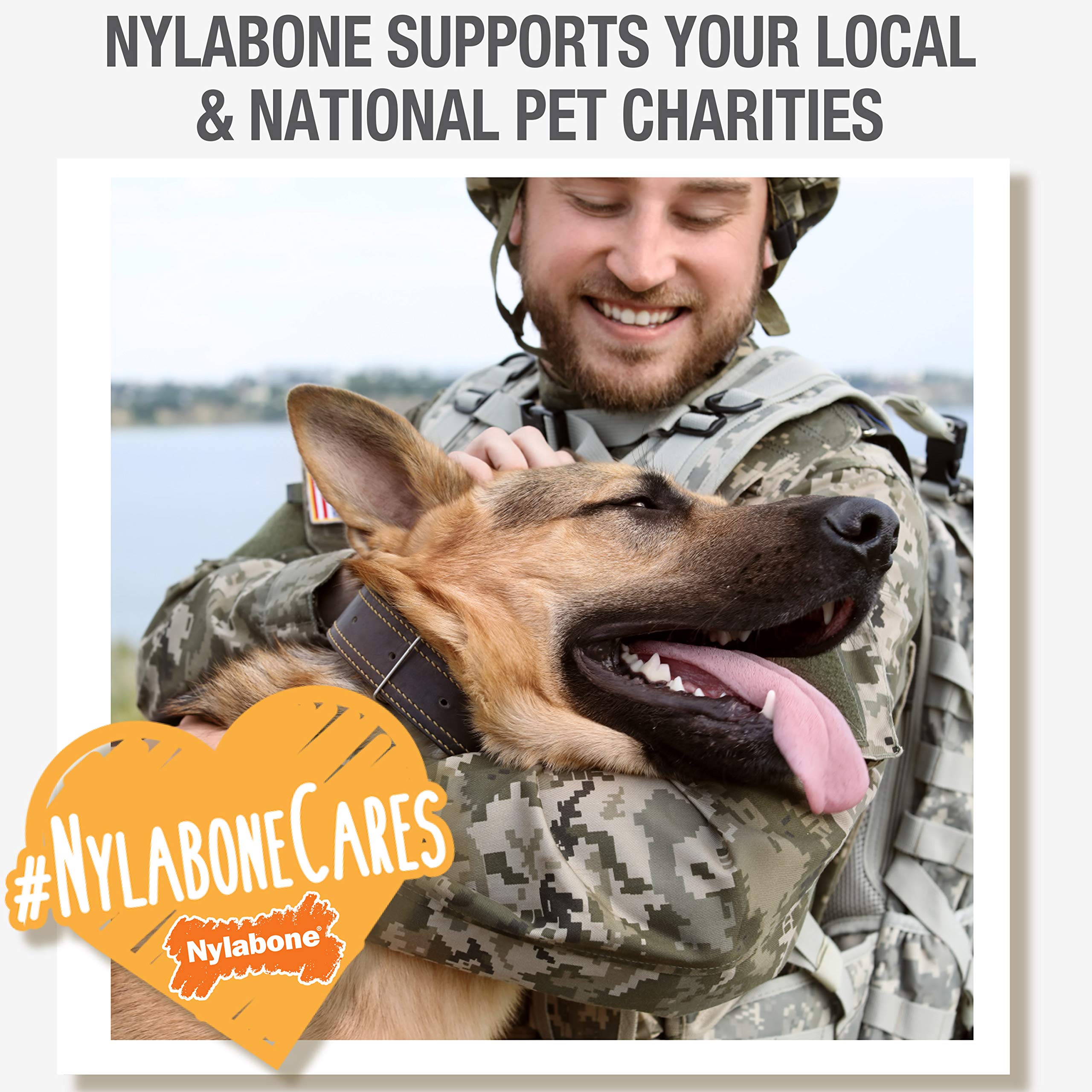 Nylabone Nubz Wild, textura diseñada para perros pequeños que mastican con gusto