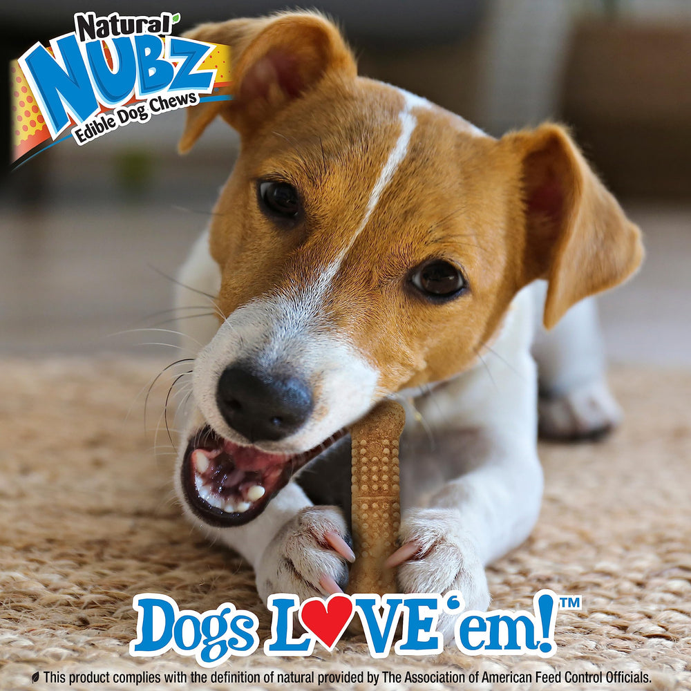 Nylabone Nubz Wild tamaño perfecto para perros pequeños: masticación adecuada.