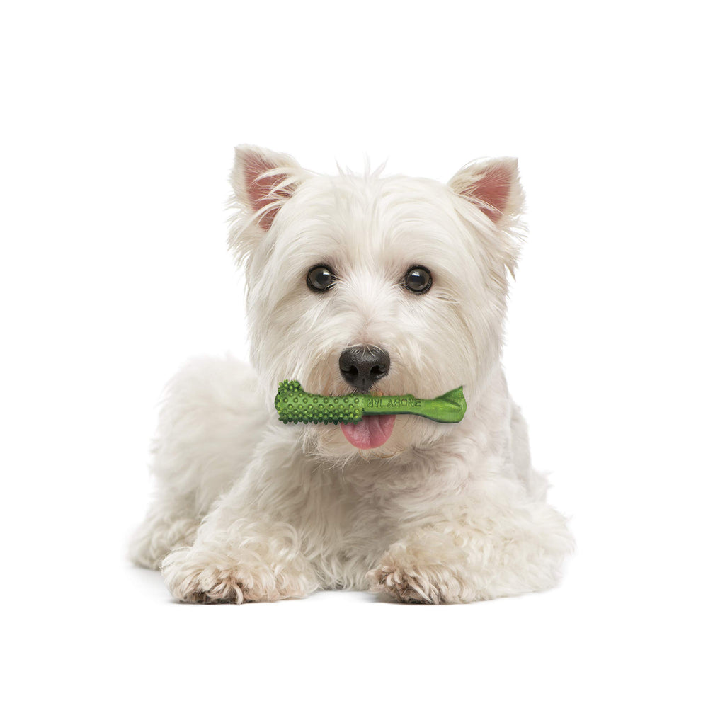 Nylabone Nutri Dent bolsa de 64 unidades para cuidado continuo