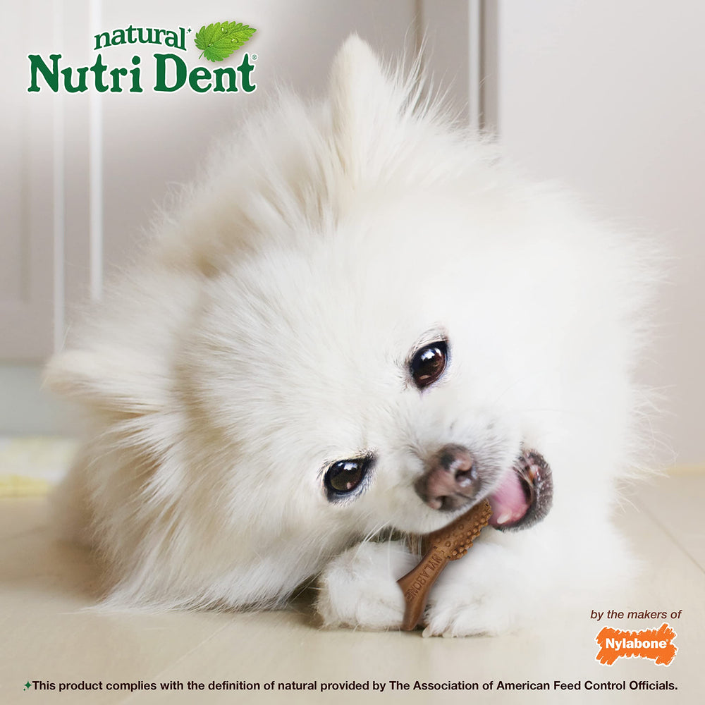 Nylabone Nutri Dent fácil digestión para perros pequeños