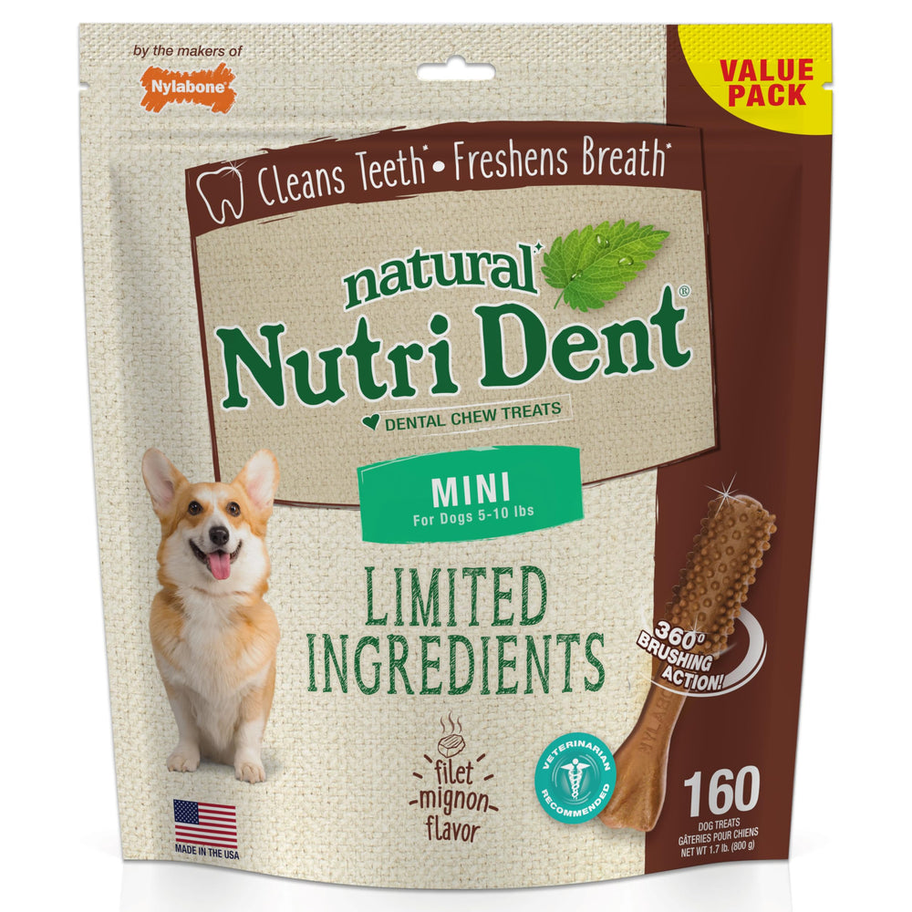 Nylabone Nutri Dent filet mignon mini: masticables para limpieza dental y aliento fresco.