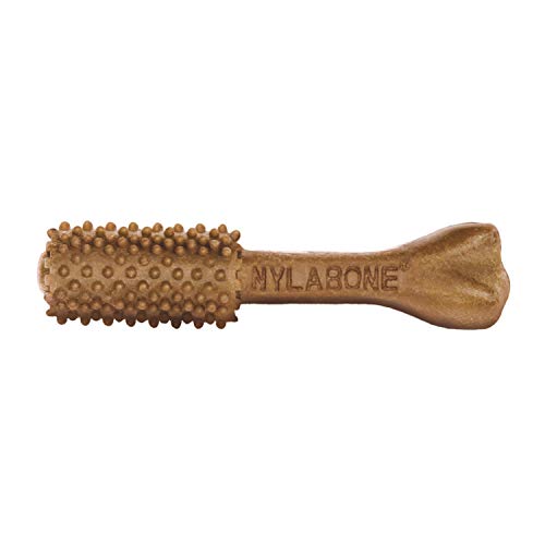 Nylabone Nutri Dent filete mignon, sabor delicioso para mordidas responsables