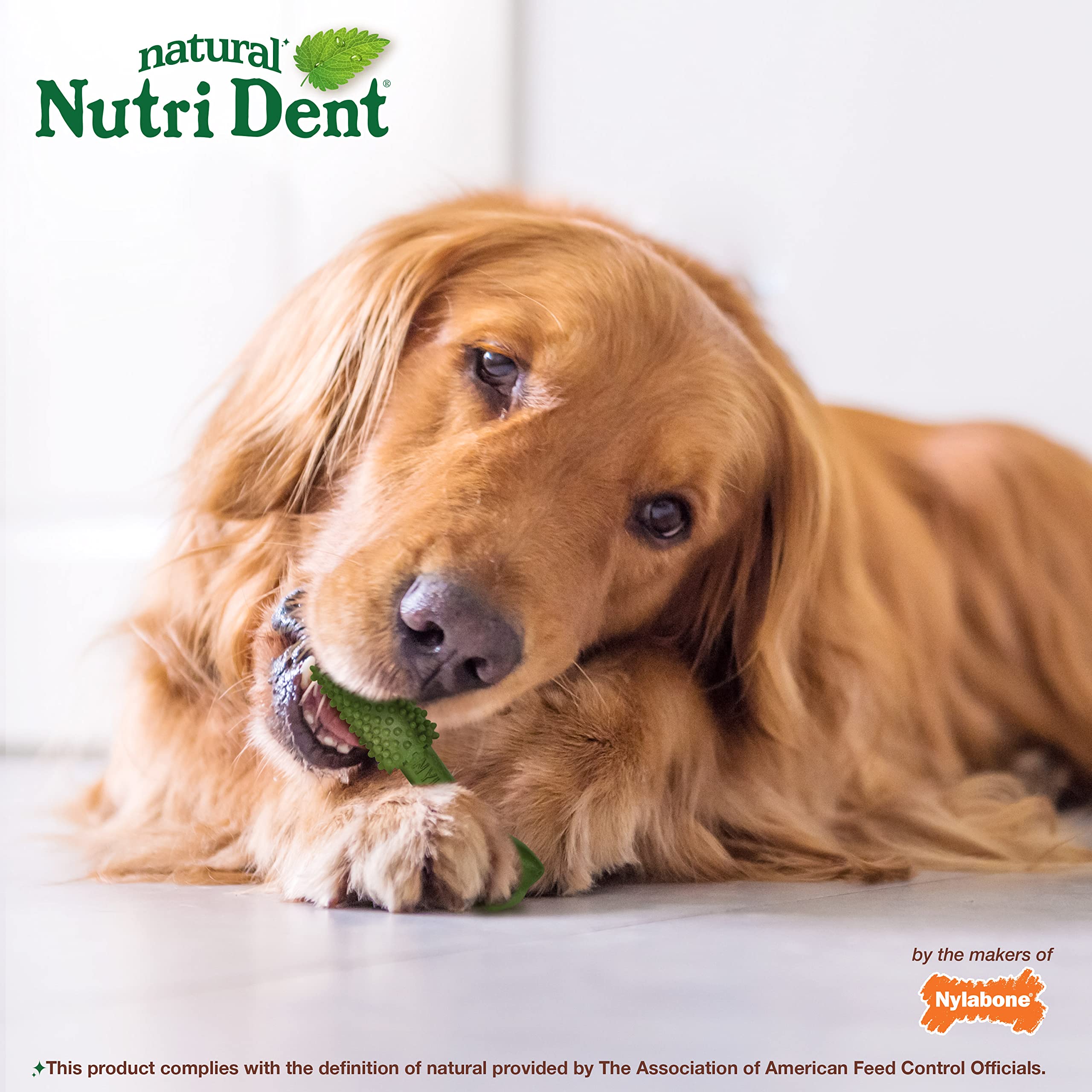 Nylabone Nutri Dent formato grande para perros y masticación constante.