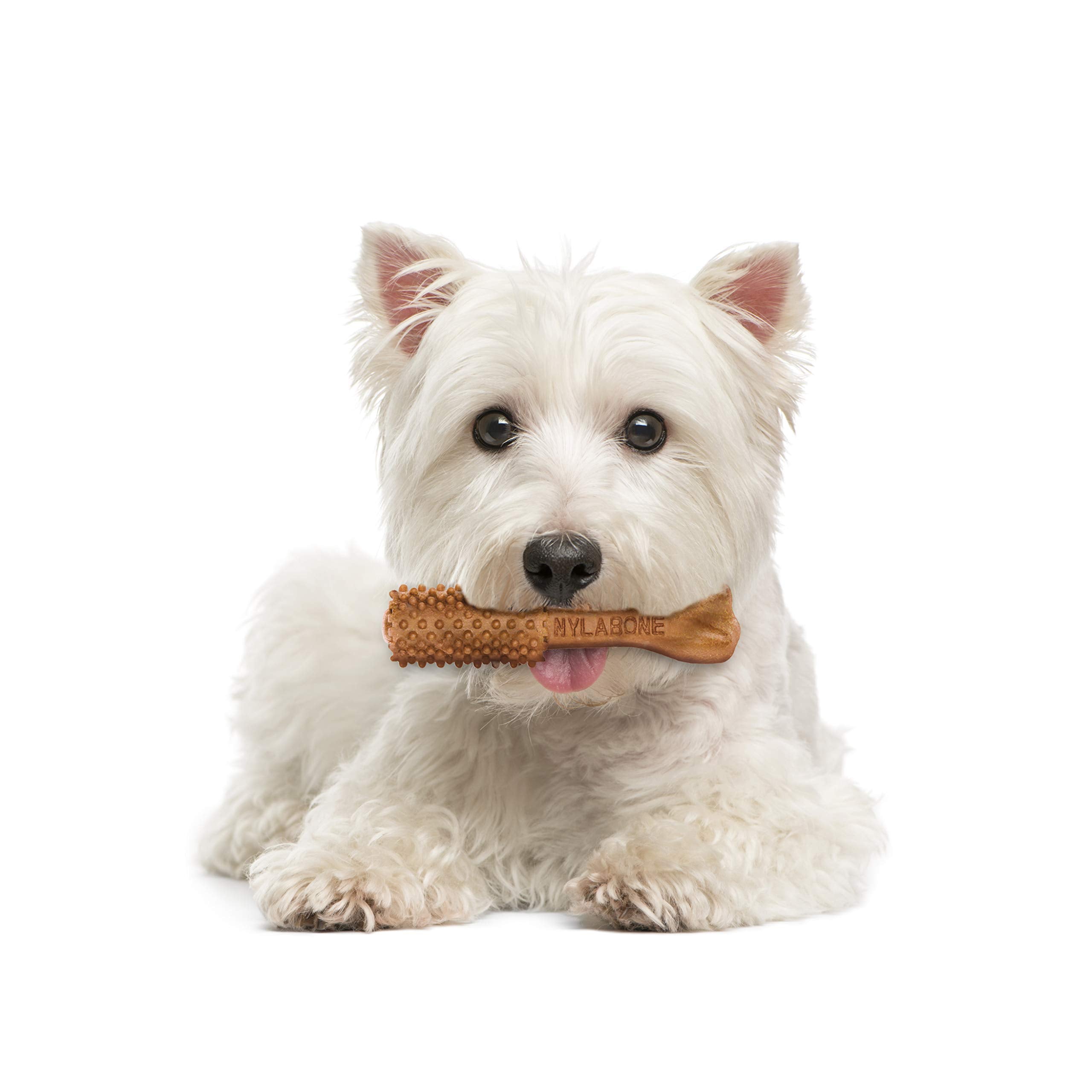 Nylabone Nutri Dent hecho en Estados Unidos, control de calidad
