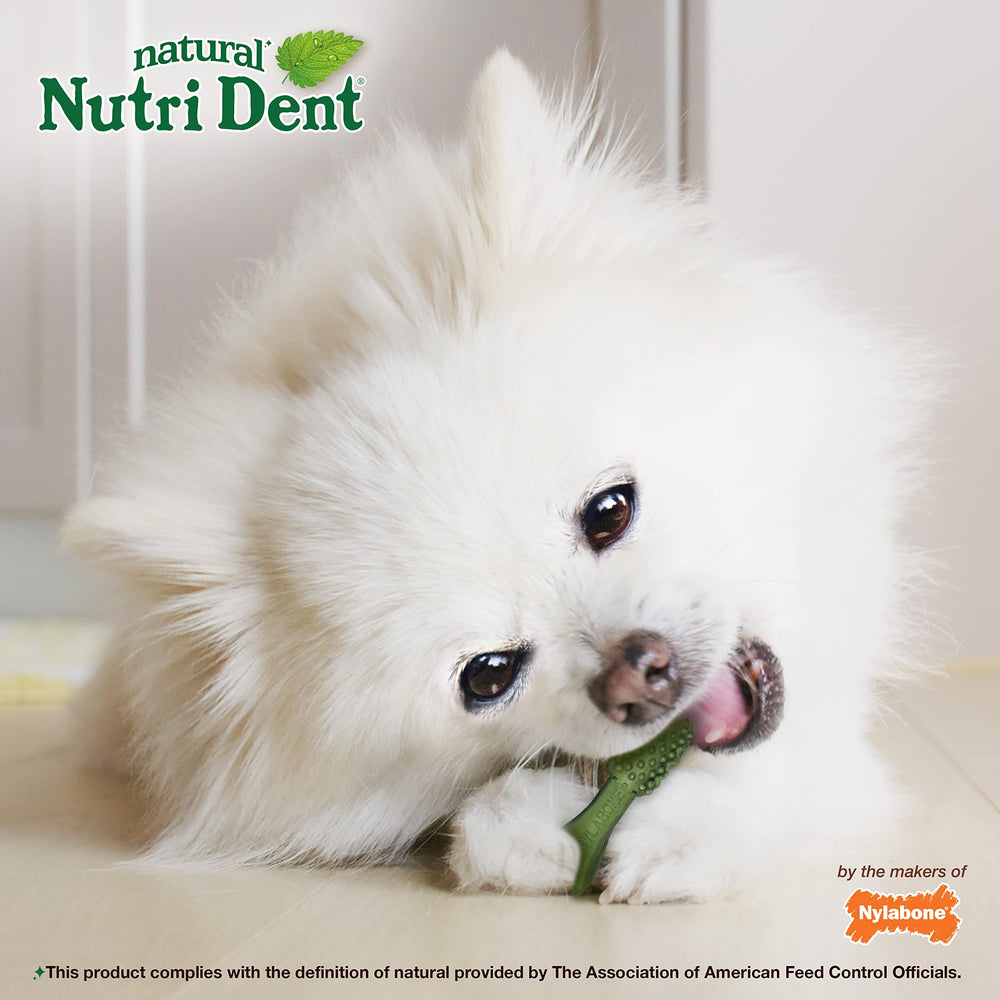 Hecho en Estados Unidos, Nutri Dent de Nylabone
