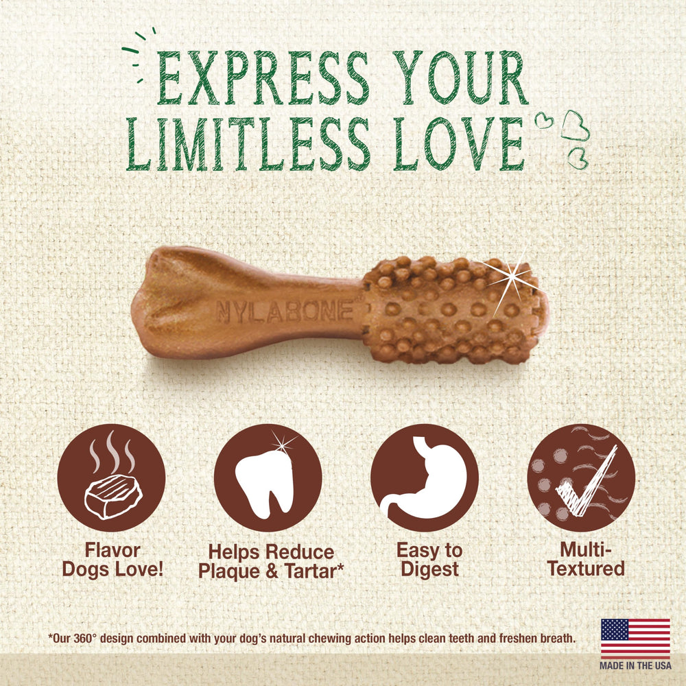 Nylabone Nutri Dent mordiscos con textura para limpieza dental durante la masticación