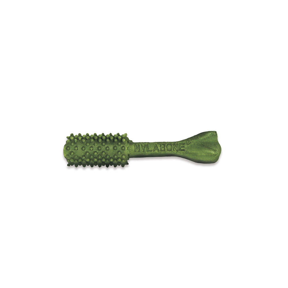 Nylabone Nutri Dent natural y digestible para perros
