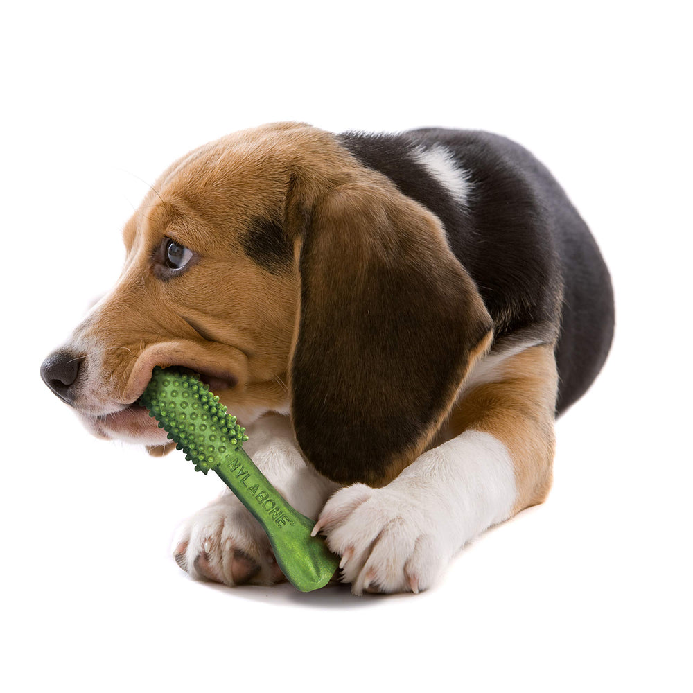Nylabone Nutri Dent, recomendado por veterinarios, cuidado dental para perros.