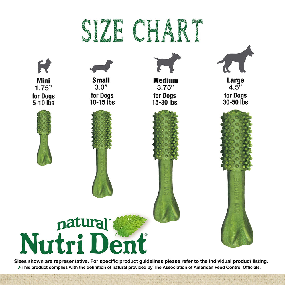 Nylabone Nutri Dent recomendado por veterinarios para cuidado bucal.
