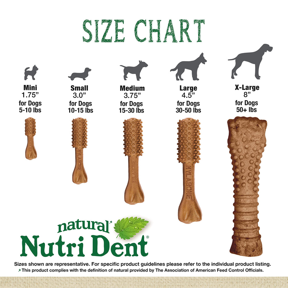 Nylabone Nutri Dent sabor filet mignon para perros que disfrutan masticar