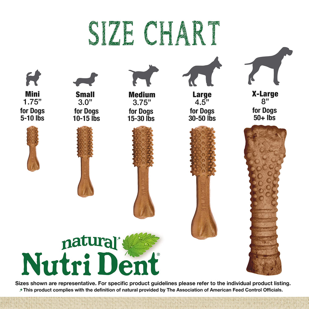 Nylabone Nutri Dent sabor filet mignon, para perros que disfrutan el sabor