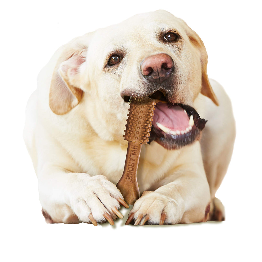 Nylabone Nutri Dent, sin colorantes artificiales ni preservantes