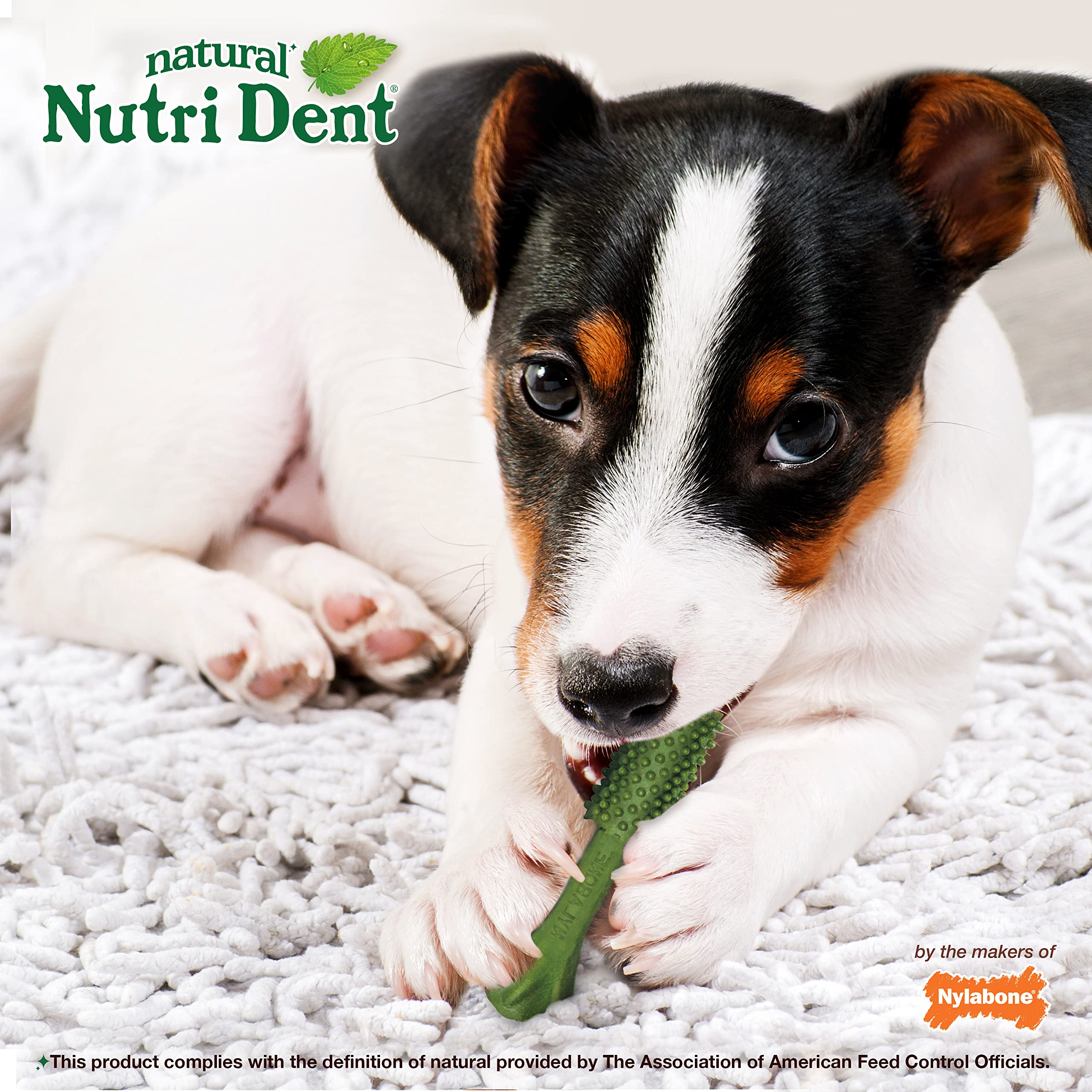 Nylabone Nutri Dent recomendado por veterinarios como opción dental