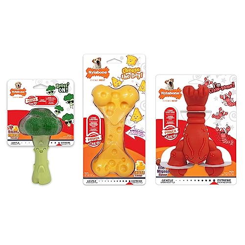 Nylabone paquete de 3 juguetes para variedad de juego.
