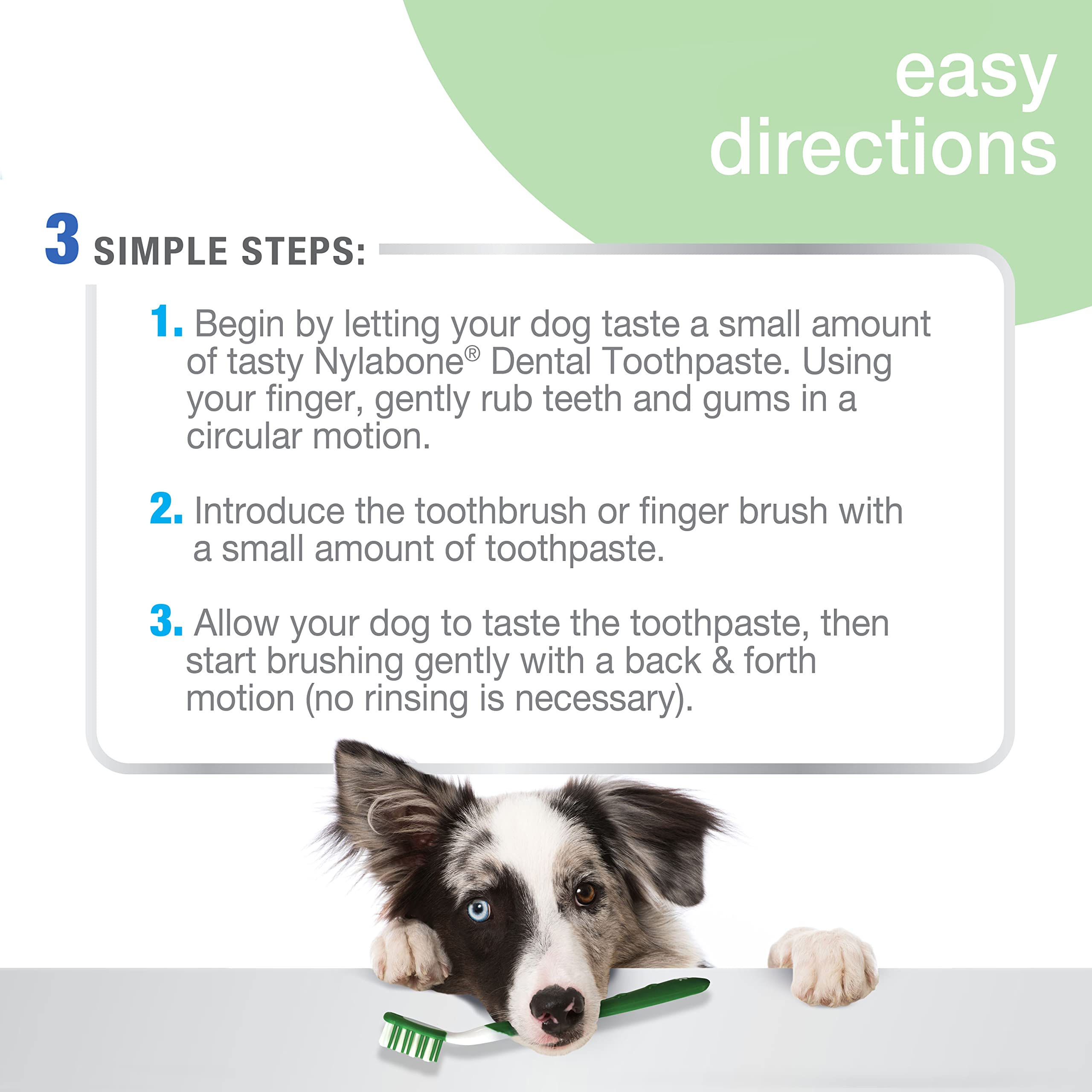 Pasta dental Nylabone sabor cacahuete natural para cepillado agradable.