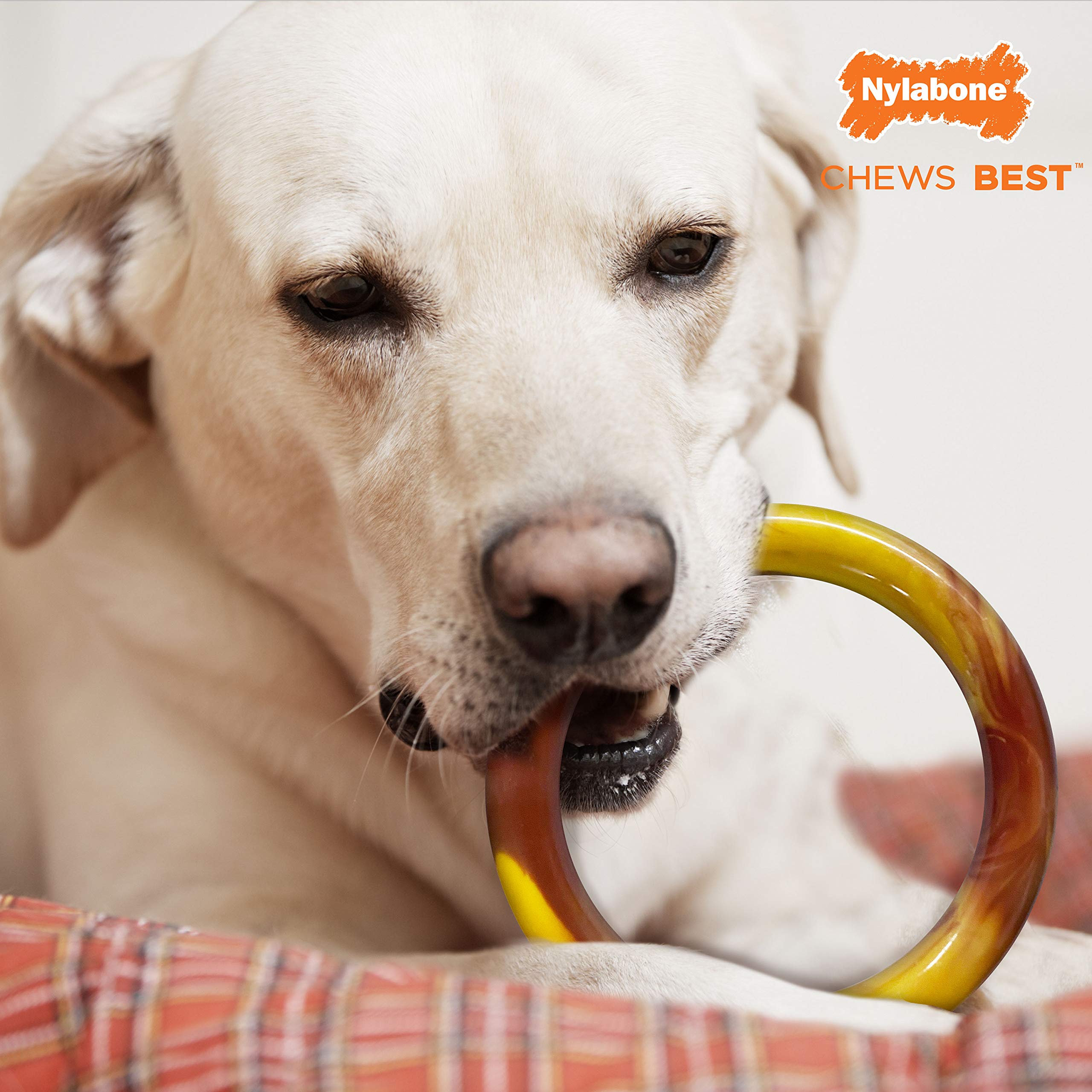 Nylabone Potenciador de Masticación, anillo liso sabor tocino para masticar durante horas