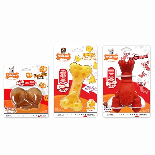 Nylabone Power Chew: combina diversión y masticación durante el juego.