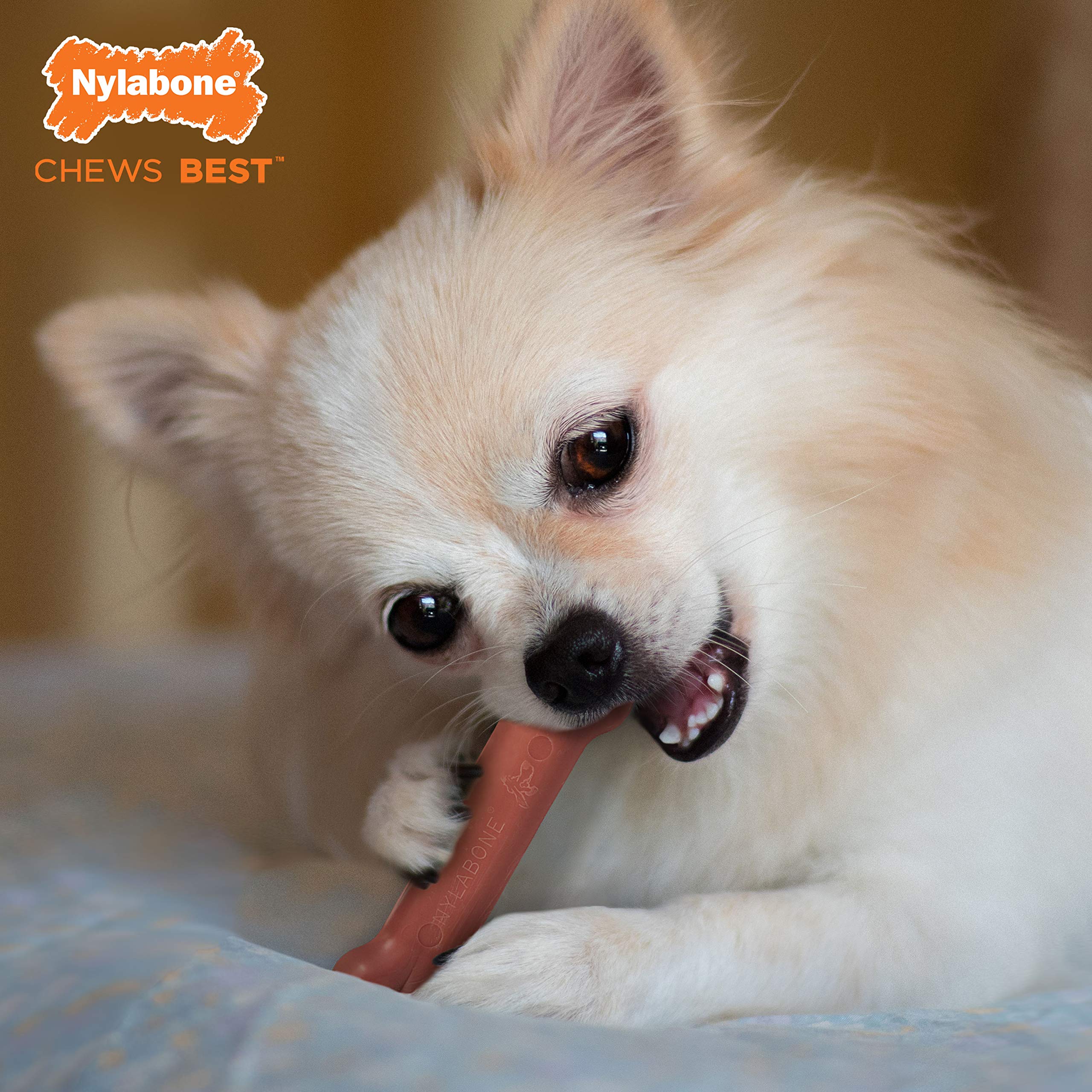 Hueso duro Power Chew para masticadores extremos, durabilidad comprobada.