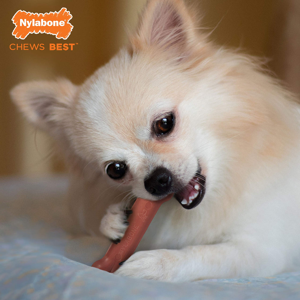 Hueso duro Power Chew para masticadores extremos, durabilidad comprobada.