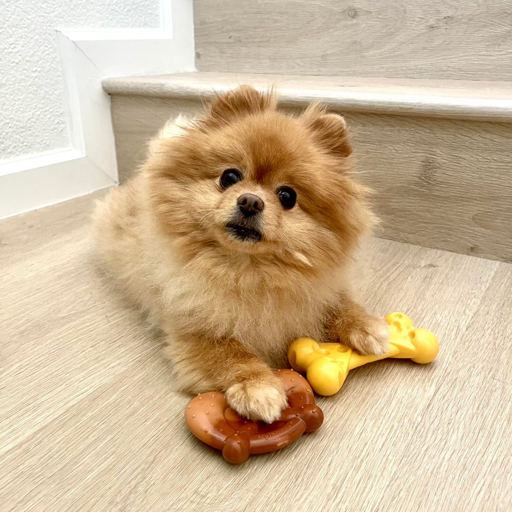 Nylabone Power Chew: hueso de queso lamido para masticar con sabor.