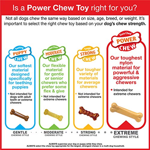 Nylabone Power Chew para masticación controlada en perros activos