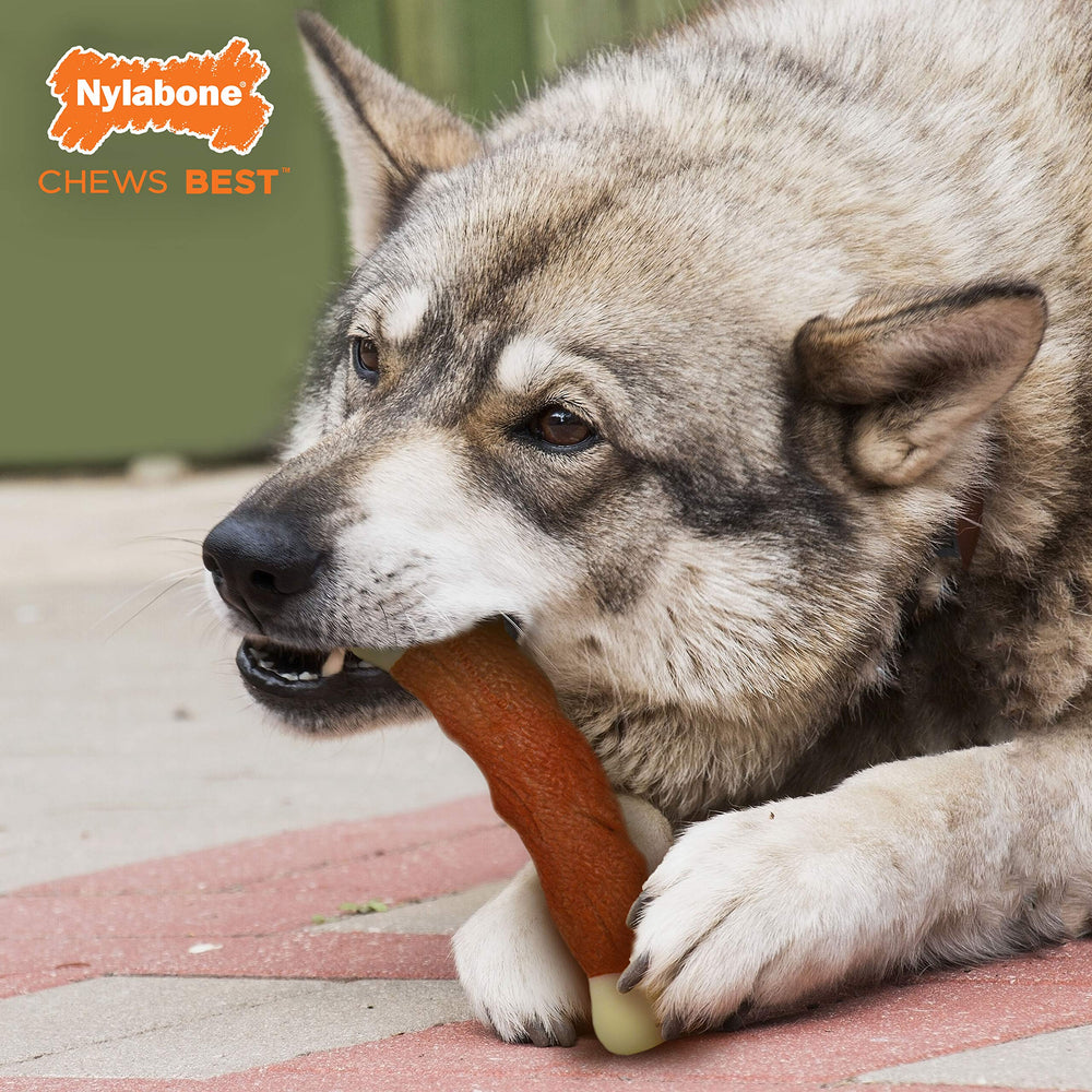 Nylabone Power Chew Meaty Rib Alternative, sin astillas, opción limpia frente a huesos reales.