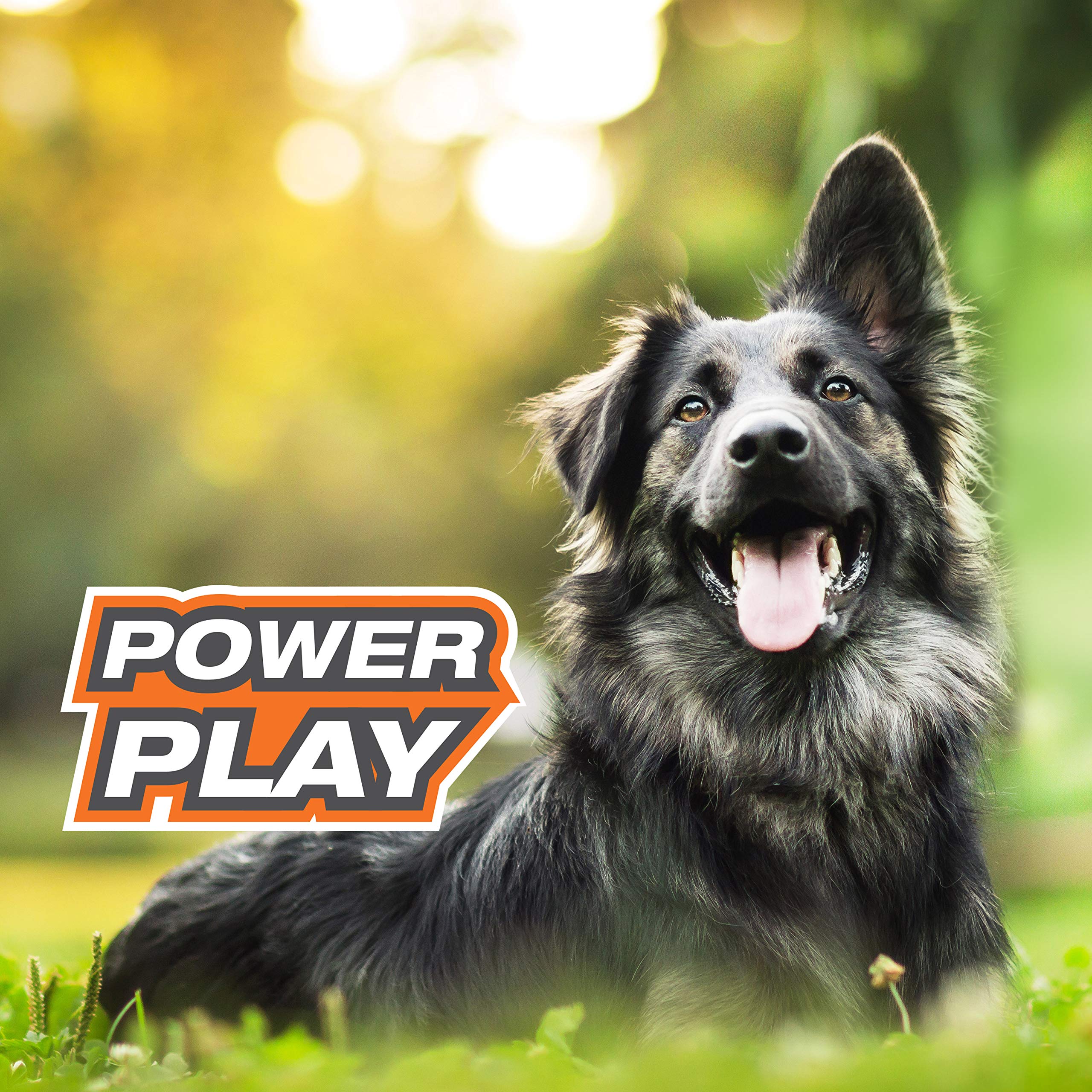 Nylabone Power Play Gripz juego-interactivo anima la actividad física.