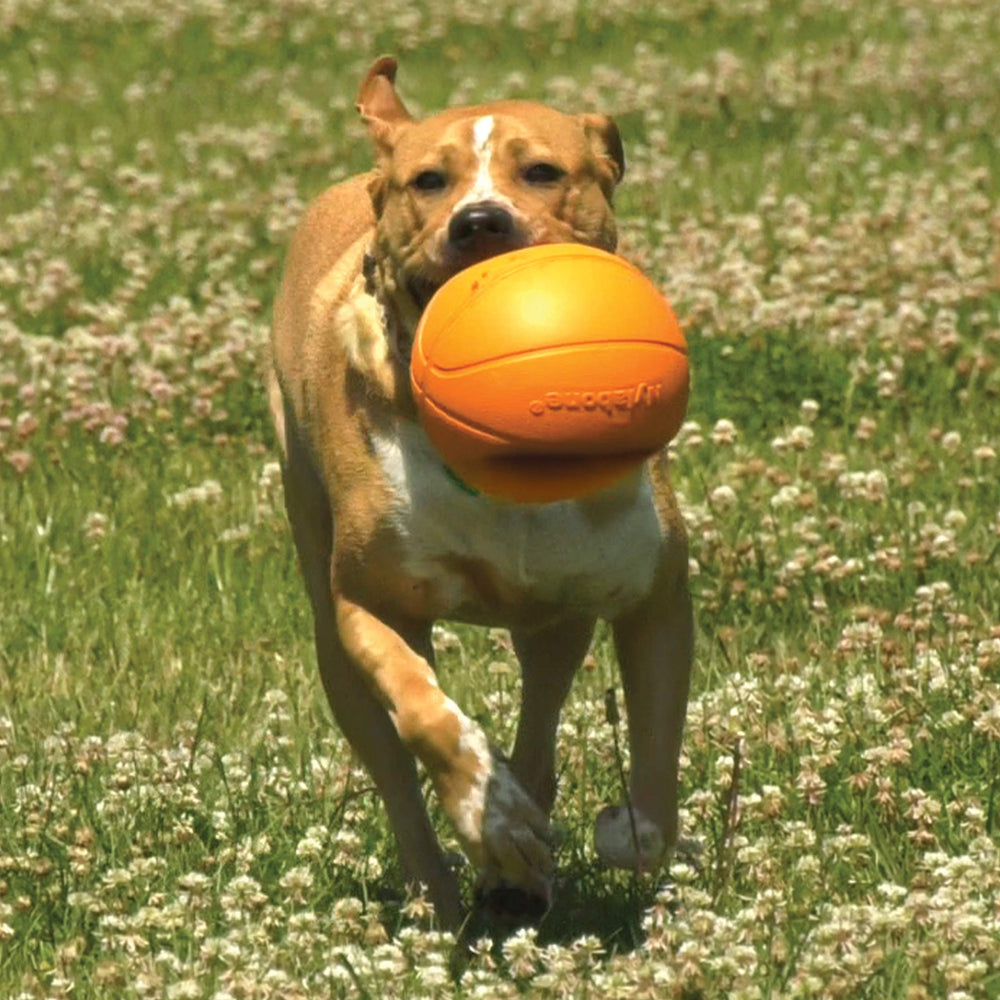 Nylabone Power Play Gripz, limpieza fácil tras el juego
