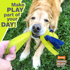Nylabone Power Play Gripz, rebote divertido para juego variado