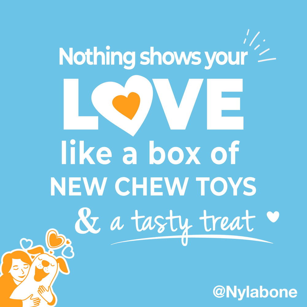 Nylabone Puppy Gift Box: caja regalo para cachorros y perros pequeños.