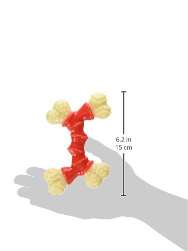 Perro disfruta del sabor bacon con el juguete Nylabone Doble Hueso.