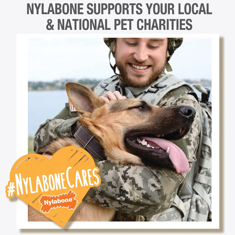 Nylabone para cachorros pequeños (hasta 15 libras).