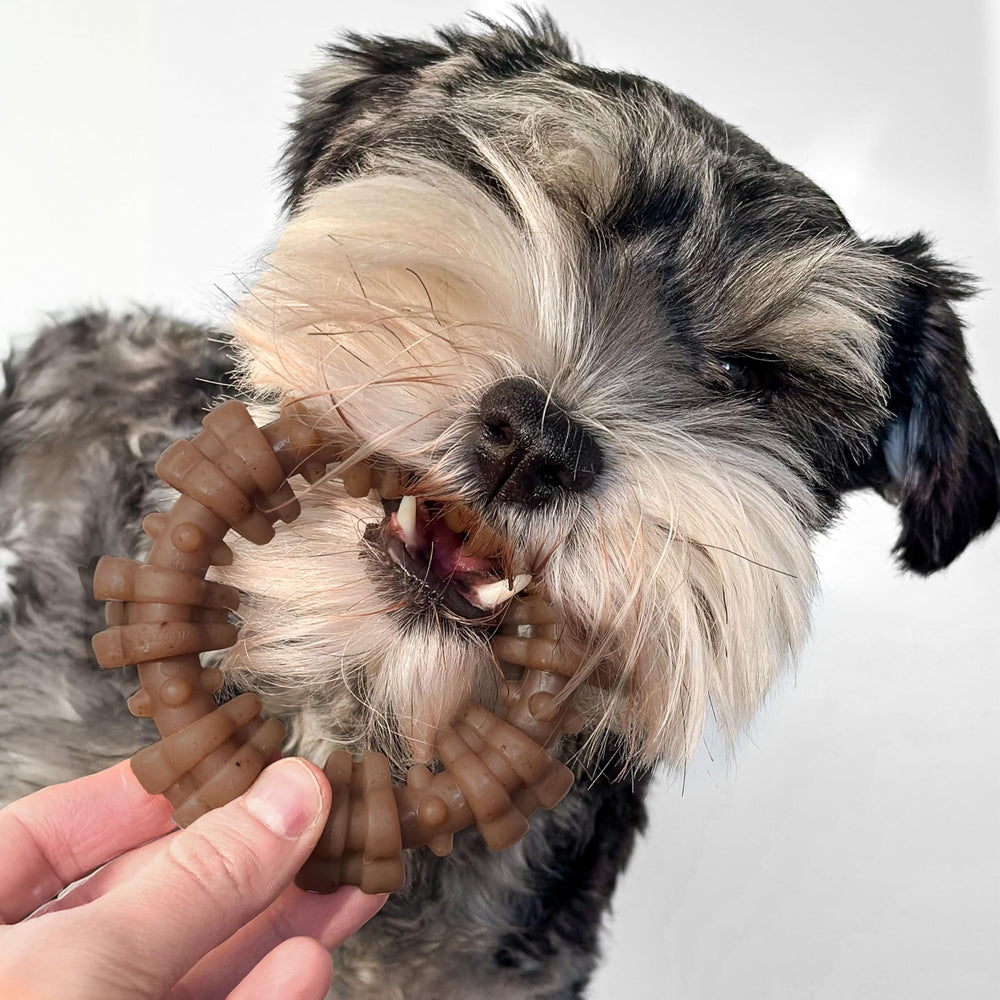 Nylabone sabor real de res y pollo, atractivo para masticadores exigentes.