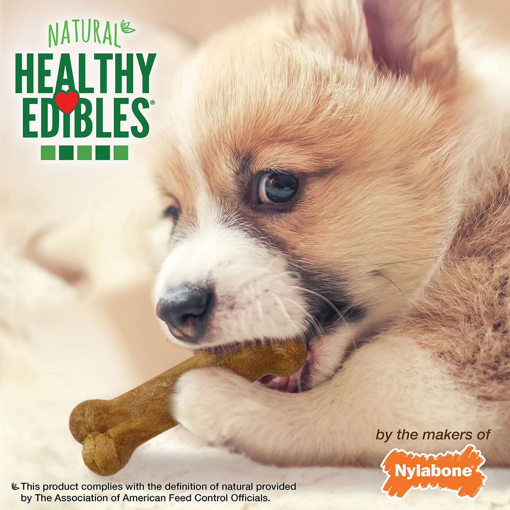 Nylabone comestibles saludables, sabor ternera asada, diseño apto para mordidas suaves.