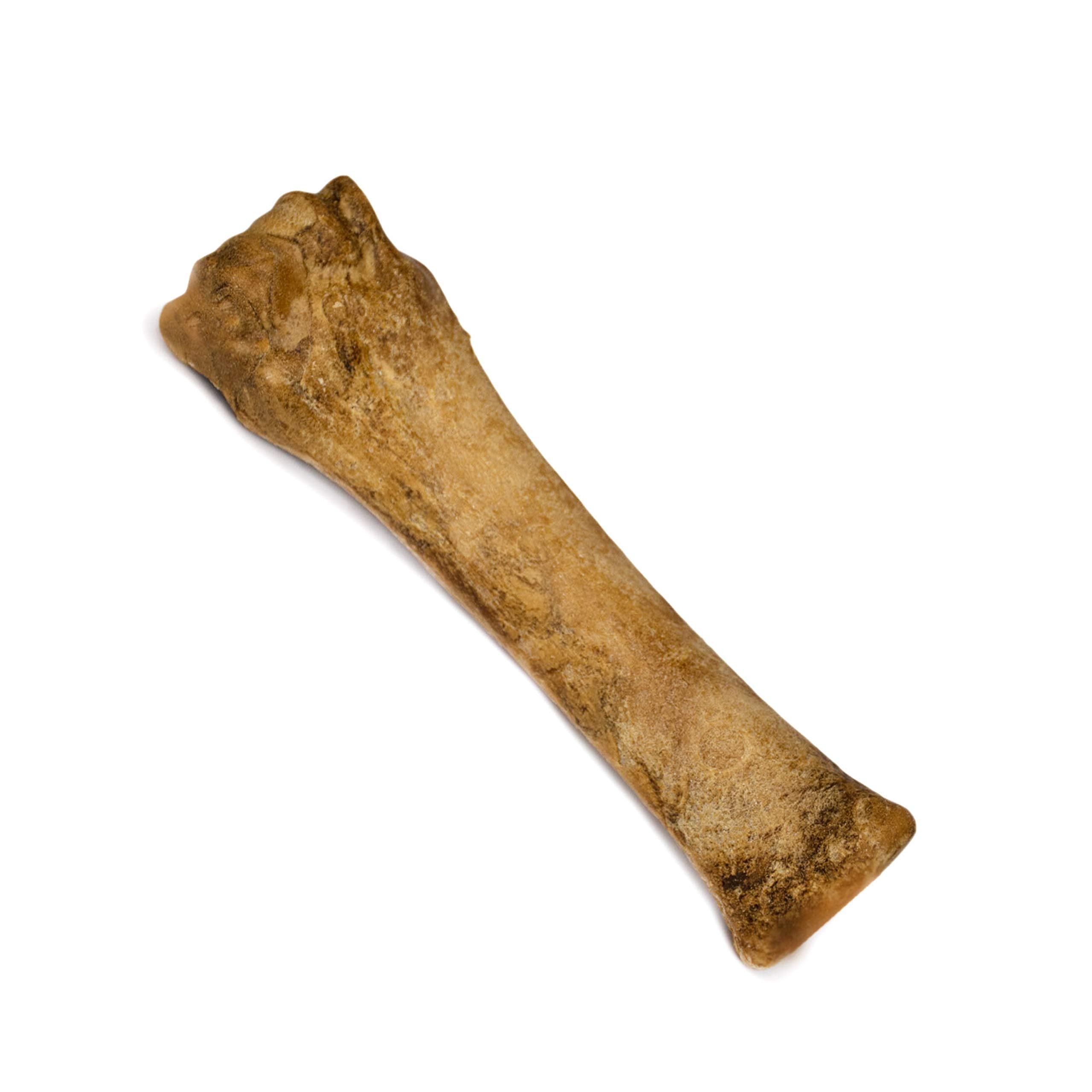 Nylabone tamaño Souper para perros mayores a 50 libras con sabor bacon
